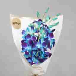 Blue Orchid Elegance Bouquet in UAE