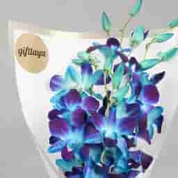 Blue Orchid Elegance Bouquet in UAE