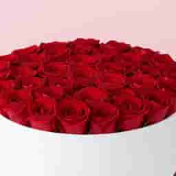 White Box of Red Roses