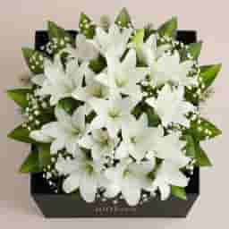 Premium White Lily Bouquet in UAE