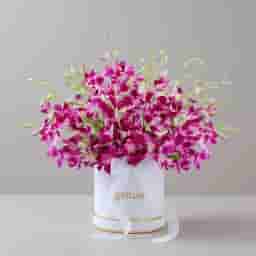 Purple Orchid Bloom Box in UAE