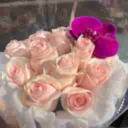 Royal Lavender Rose Wrap