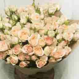 Peach Spray Roses Bouquet