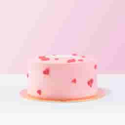 Soft Pink Fantasy Cake