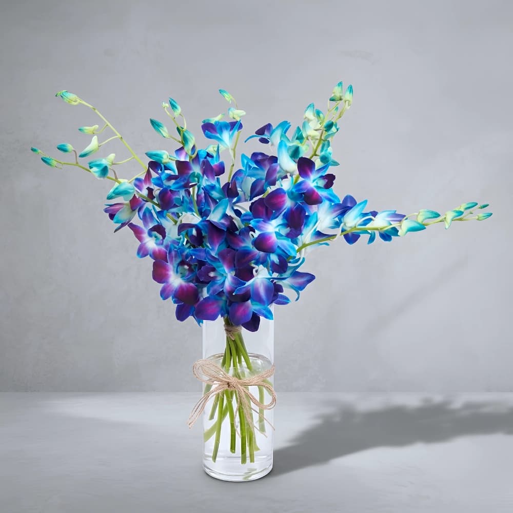Blue Orchid Surprise With Vase