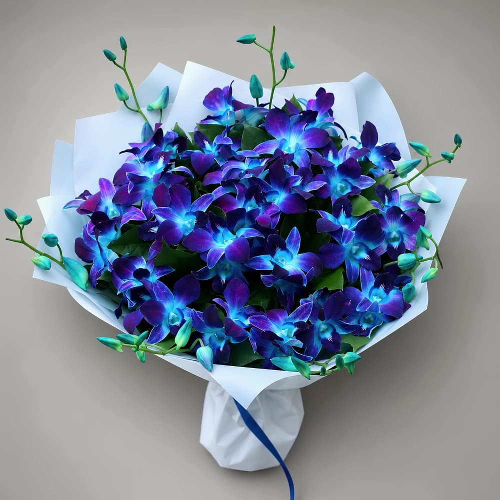 Royal Blue Orchid Gift Bouquet